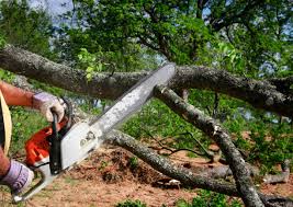 Lawn Watering Services in Manassas Park, VA